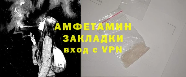 PSILOCYBIN Тайга