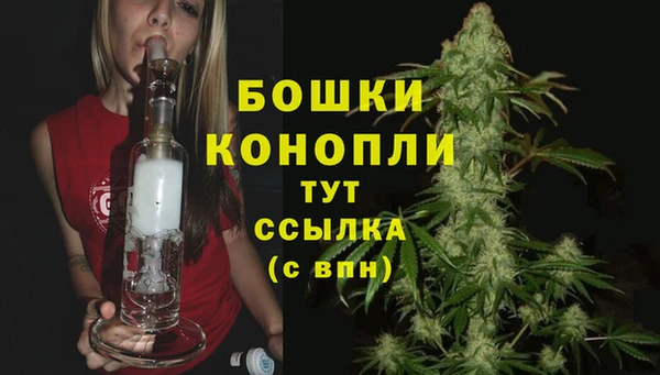 стаф Тавда