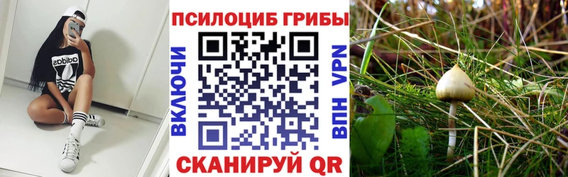 Псилоцибиновые грибы ЛСД наркотики Михайловск