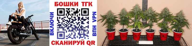 даркнет сайт Михайловск Каннабис SATIVA & INDICA